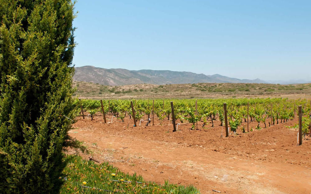 Rancho El Parral Villa San Marcos  Buitenkant foto