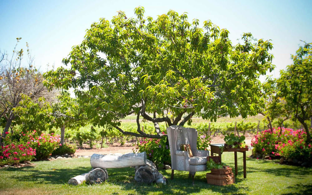 Rancho El Parral Villa San Marcos  Buitenkant foto
